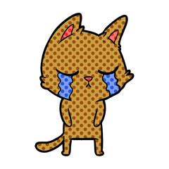 crying cartoon cat