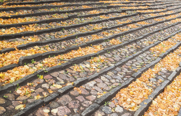 A staircase of stone with many autumn leaves