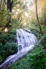 Tharn Sadet Waterfall in Kew Mae Pan Nature Trail Trekking trail leading through jungle