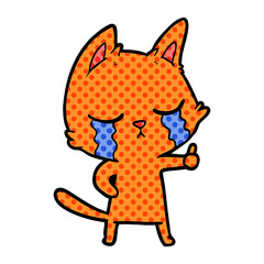 crying cartoon cat