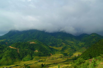 Fototapeta premium Terraced rice fields in harvest season, Muong Hoa Valley, Sappa, Northern Vietnam