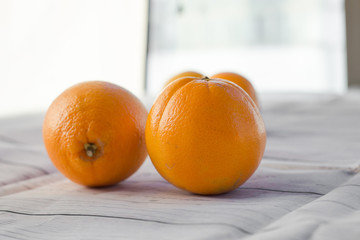 oranges on white background