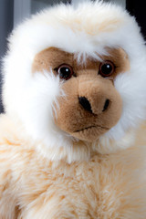 close up of monkey plush face