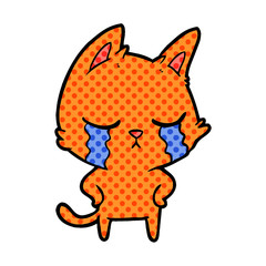 crying cartoon cat