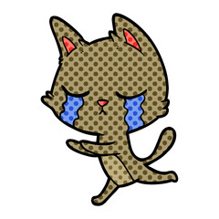 crying cartoon cat running