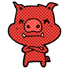angry cartoon pig