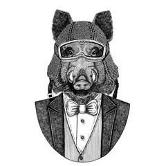 Aper, boar, hog, wild boar, aper. Animal wearing jacket with bow-tie and biker helmet or aviatior helmet. Elegant biker, motorcycle rider. Image for tattoo, t-shirt, emblem, badge, logo, patches