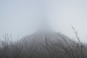 wieża we mgle