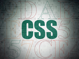 Programming concept: Painted green text Css on Digital Data Paper background with Hexadecimal Code