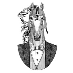 Horse, hoss, knight, steed, courser Jacket with bow-tie and biker helmet or aviatior helmet. Elegant biker, motorcycle rider, aviator. Image for tattoo, t-shirt, emblem, badge, logo, patch