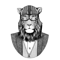 Wild cat. Lion. Animal wearing jacket with bow-tie and biker helmet or aviatior helmet. Elegant biker, motorcycle rider, aviator. Image for tattoo, t-shirt, emblem, badge, logo, patch