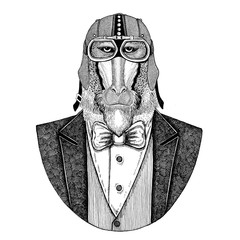 Monkey, baboon, dog-ape, ape Animal wearing jacket with bow-tie and biker helmet or aviatior helmet. Elegant biker, motorcycle rider, aviator. Image for tattoo, t-shirt, emblem, badge, logo, patch