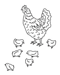 Курочка с цыплятами