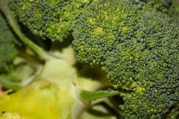 Close Up of Broccoli