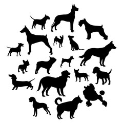 Set of black dogs on a light background
