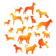 Set of watercolors on a light background