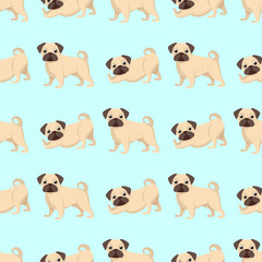 Seamless pattern of dogs, beautiful pugs