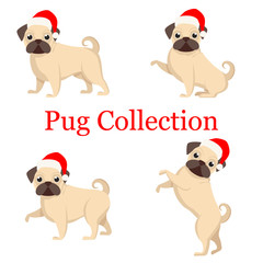 Set of dogs, new year pugs