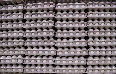chicken eggs in packages of eggs in the market
