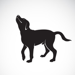 Vector of a dog labrador on white background. Pet. Animals. Vector illustration.