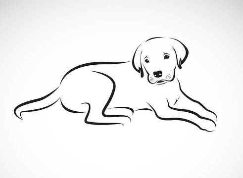 Vector of a dog labrador on white background. Pet. Animal. Easy editable layered vector illustration.