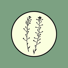 Hand drawn meadow grass emblem