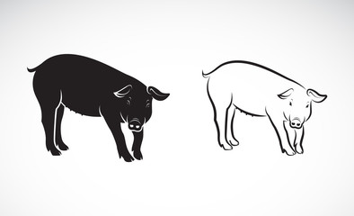 Vector of a pig on white background. Farm Animals. Vector illustration.