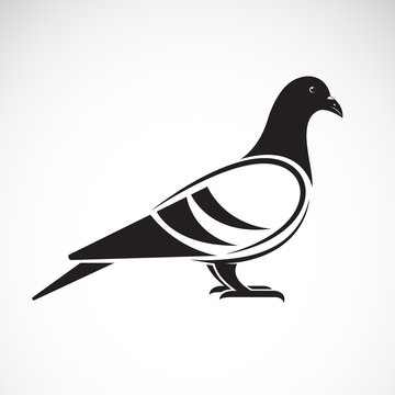 Vector of a pigeon design on white background. Bird. Animals. Vector illustration.