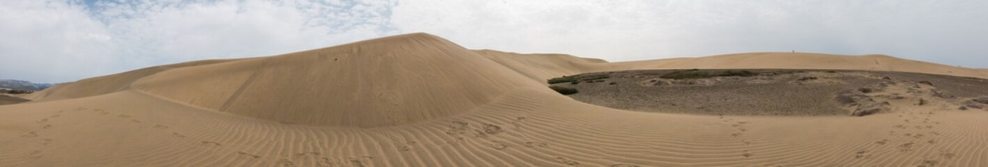 Fototapeta na wymiar Panorama of the sandy desert