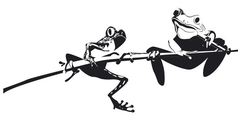 deux grenouilles sur une branche en noir et blanc