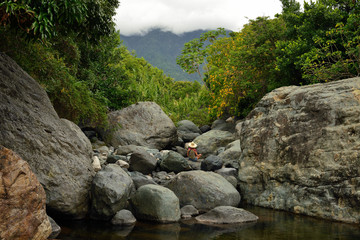 Tourist on the trail for the highest peak of Cuba -  Pico Turquino