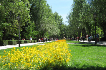 レティーロ公園