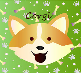 Cute sketch of dog corgi on bright gradient pattern background