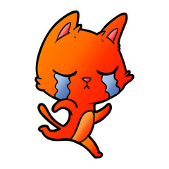 crying cartoon cat