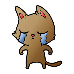 crying cartoon cat