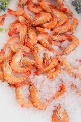 Many fresh shrimps