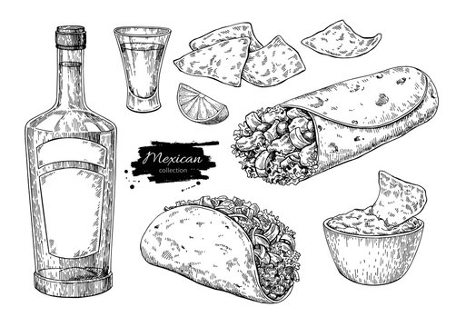 Mexican cuisines drawing. Traditional food and drink vector illu