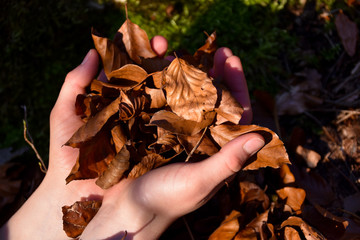 Naturverbunden