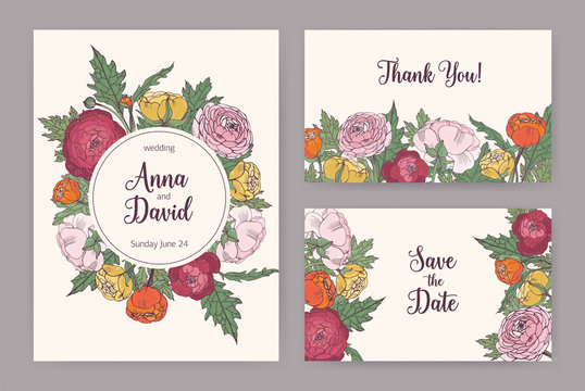 Collection of elegant wedding invitation, Save The Date card and Thank You note templates decorated with blooming pink, orange and yellow ranunculus flowers and leaves. Floral vector illustration.