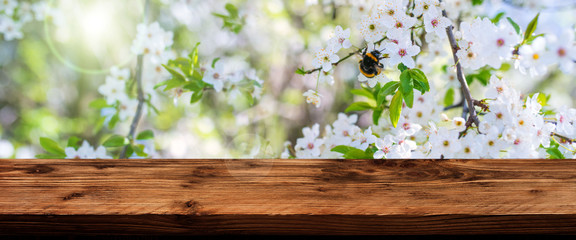 Blossoms in spring with wooden table