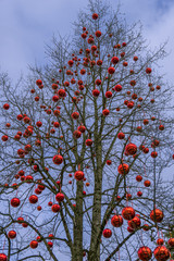 Christmas Market Hellbrunn Palace, Salzburg, Austria