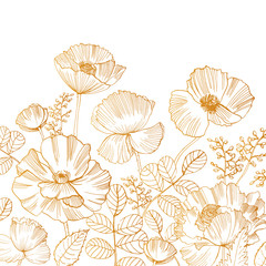 Beautiful square backdrop with blooming poppy flowers and leaves at bottom edge hand drawn with golden contour lines on white background. Gorgeous floral decoration. Botanical vector illustration.