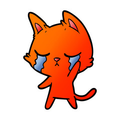 crying cartoon cat