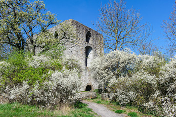 Fototapete bei efototapeten.de bestellen   