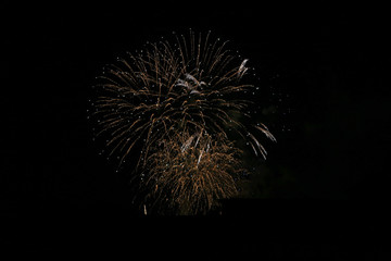 Fototapeta premium The Firework on the black Sky in the Detail