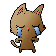 crying cartoon cat
