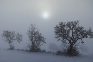 Nebel und Sonnenaufgang