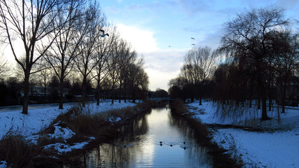 Beautiful Snow Covered Winter Landscape with Canal, Trees and Birds Canal 