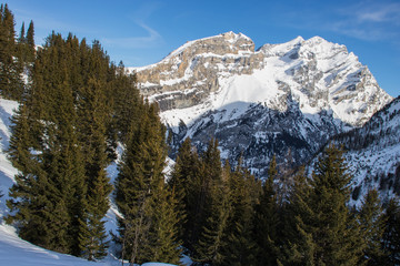 Bild einer Schneeschuhwanderung