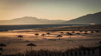 sandy lonely beach with umbrellas